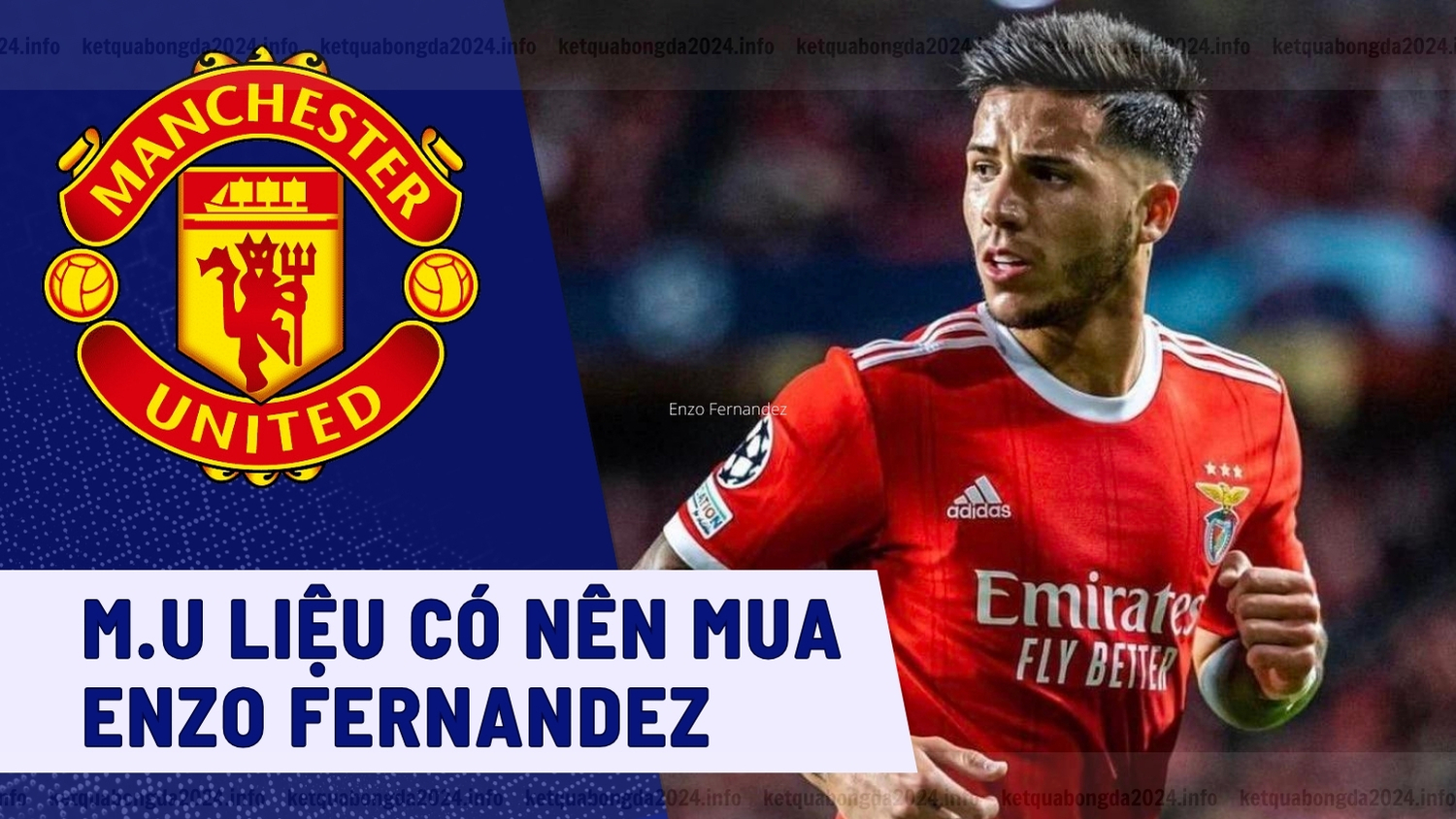 Enzo Fernandez chuyển nhượng Man Utd